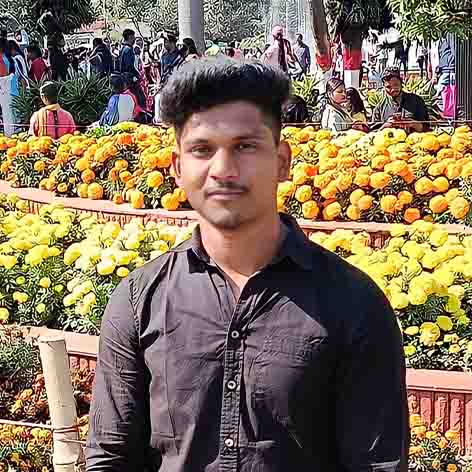 Online Grocery Store